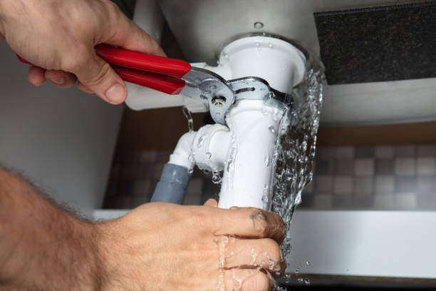 Best Water damage cleanup near me  in Bithlo, FL