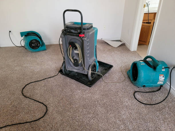 Best Ceiling water damage repair  in Bithlo, FL