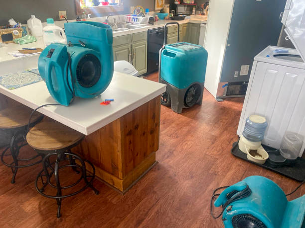 Best Water damage restoration near me  in Bithlo, FL