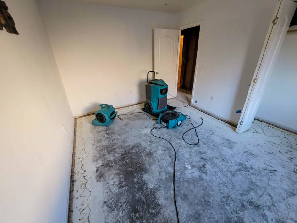 Best Sewage cleanup and water damage restoration  in Bithlo, FL