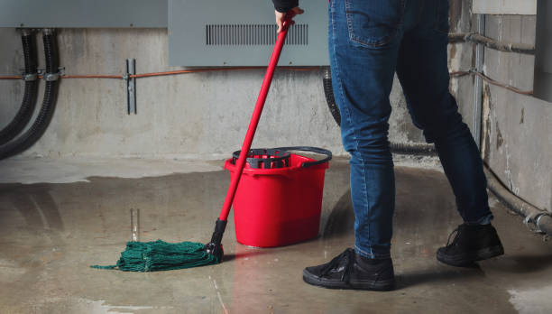 Best Professional water damage repair  in Bithlo, FL