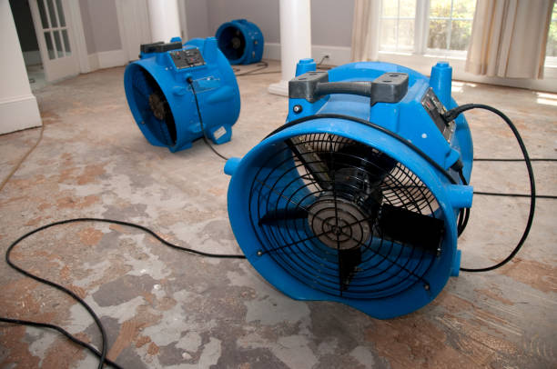 Best Flood restoration services  in Bithlo, FL