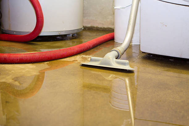Best Basement water damage restoration  in Bithlo, FL