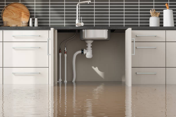 Best Fire Damage Restoration  in Bithlo, FL