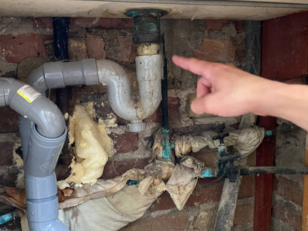 Best Mold removal after water damage  in Bithlo, FL