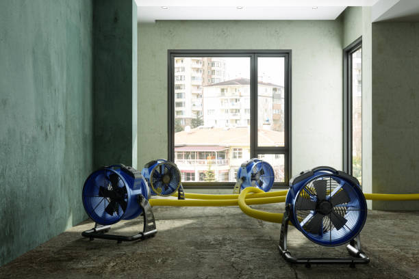 Sewage cleanup and water damage restoration in Bithlo, FL
