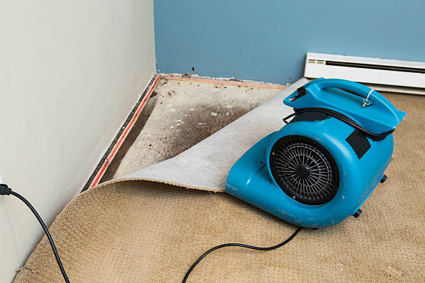  Bithlo, FL Water damage restoration Pros