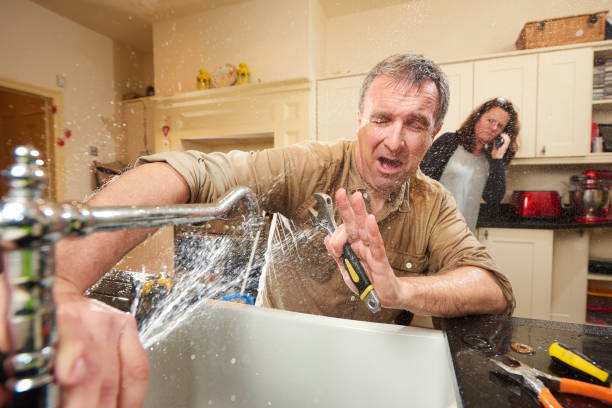 Best Professional water damage repair  in Bithlo, FL